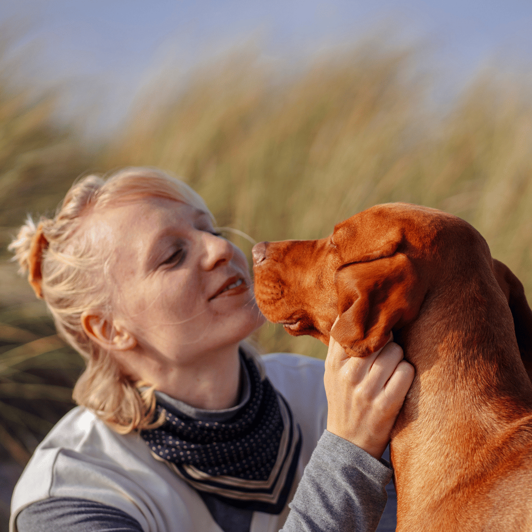 Hund trainieren Erfolg
