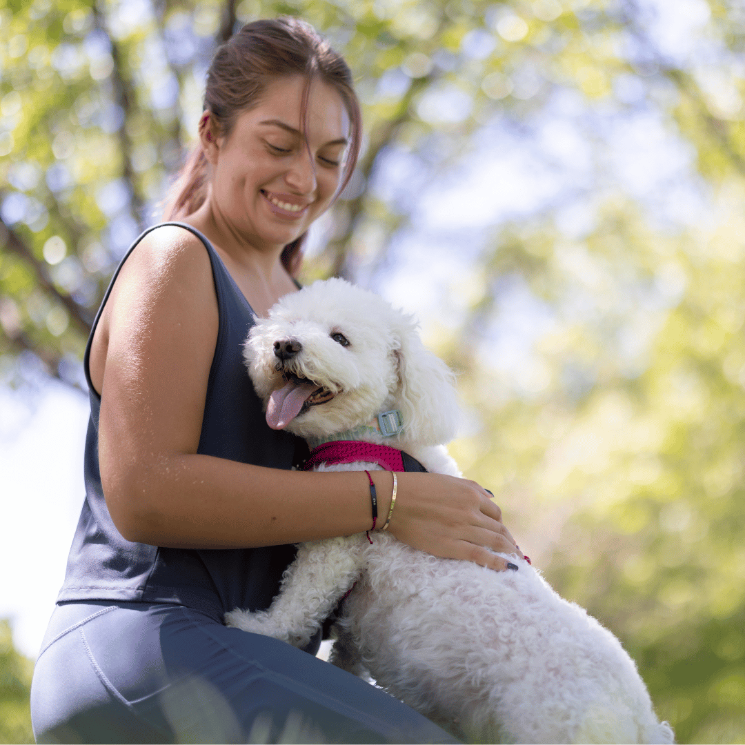 Hund erziehen Erfolg